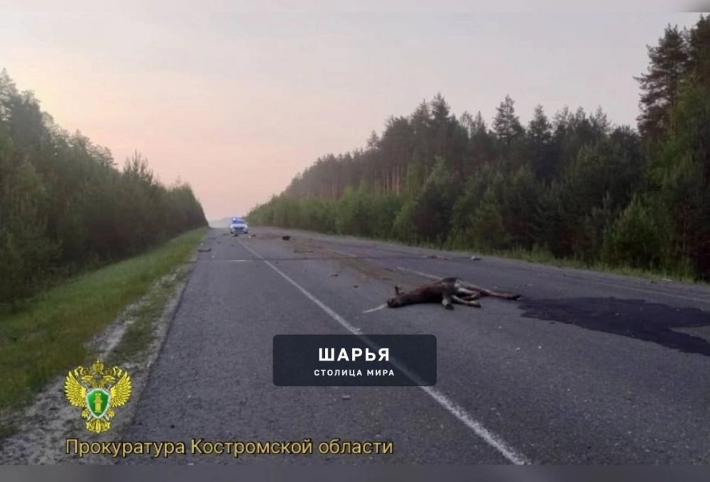 Сегодня, 8 июня около 2 часов на 4 км автодороги Нея-Мантурово 26-летний водитель автомобиля… — Шарья — фото 1