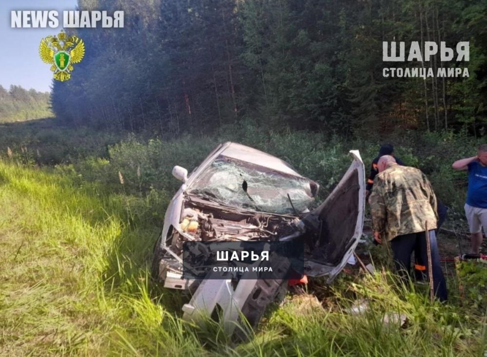 И снова ДТП с печальным исходом — Шарья — фото 3