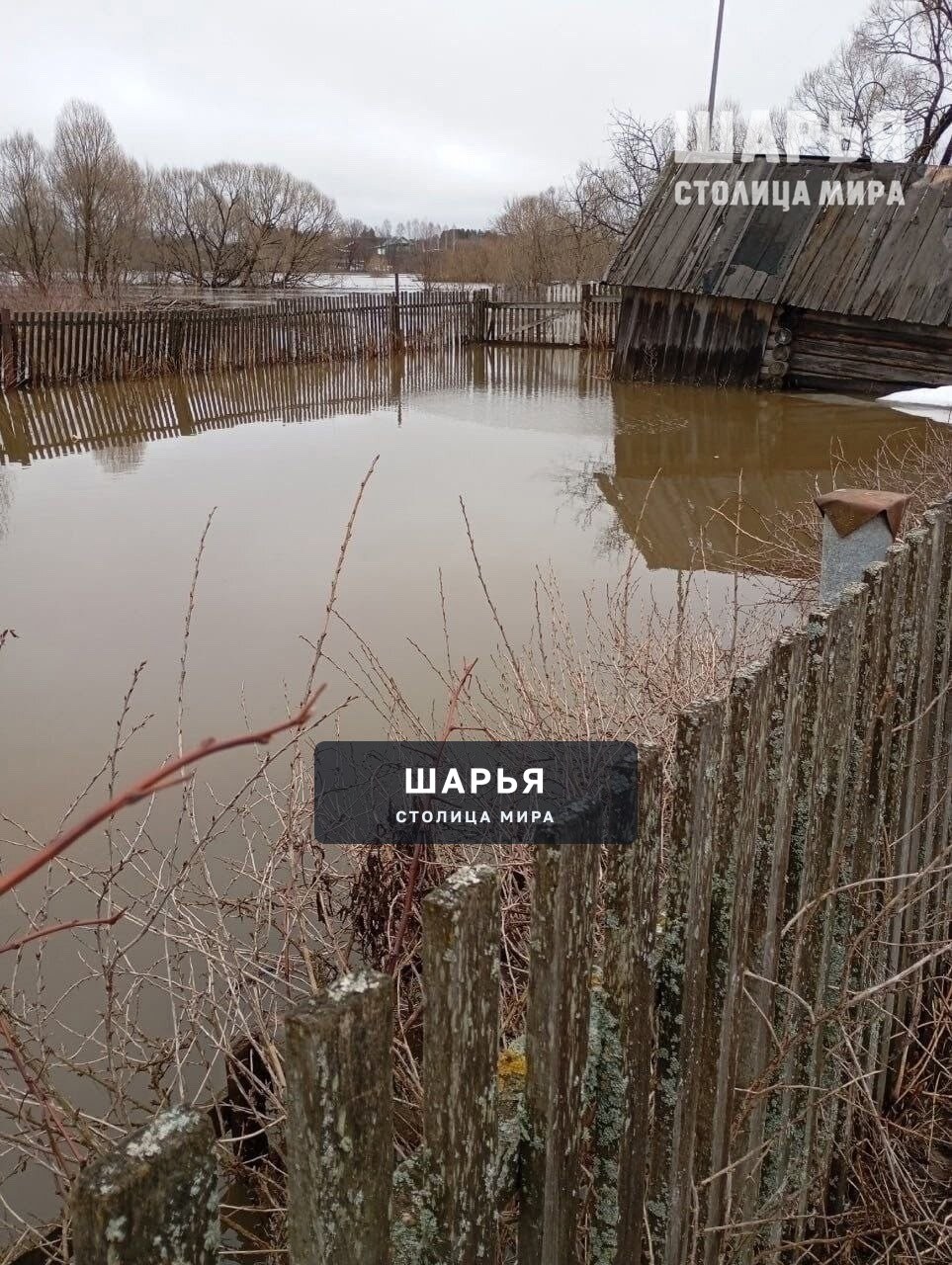 Зона подтопления в Костромской области расширяется! — Шарья — фото 2