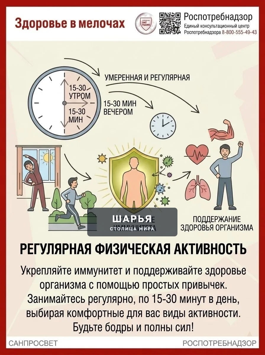Как сохранить осенью активность? — Шарья — фото 2