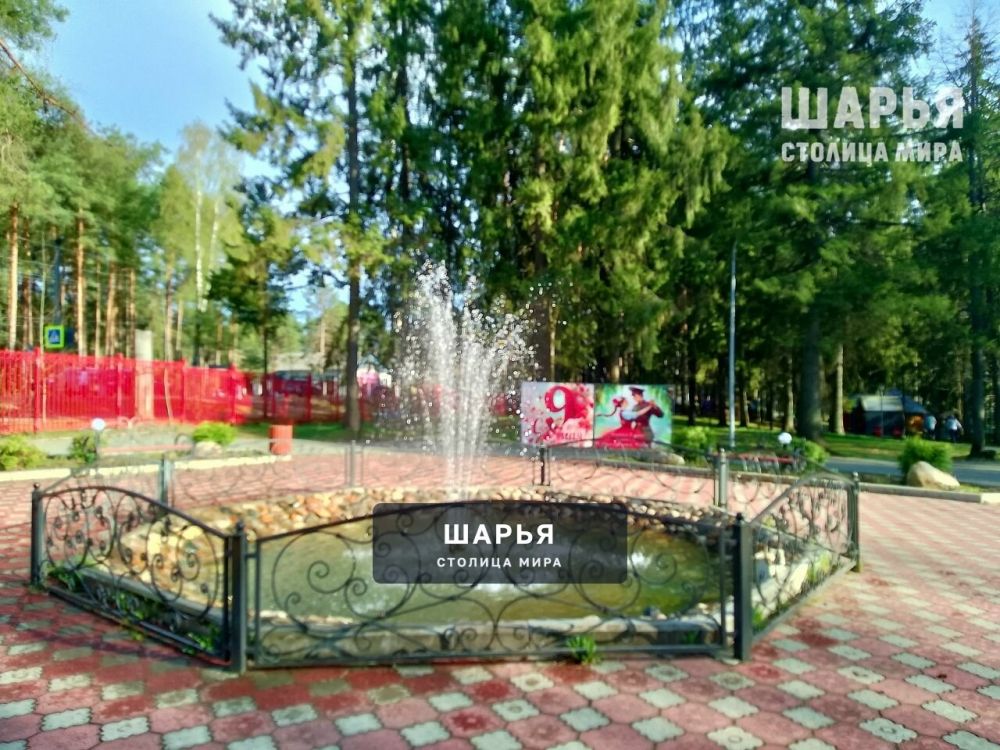 В Шарье официально открыли летний сезон — Шарья