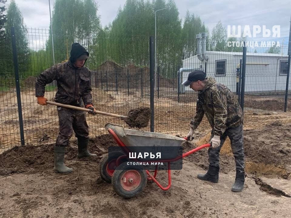 Студотряды из Шарьи, как всегда, окунулись в работу — Шарья — фото 1
