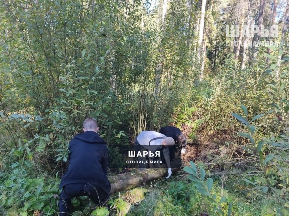 Субботник прошел в шарьинском Городском парке культуры и отдыха — Шарья — фото 6