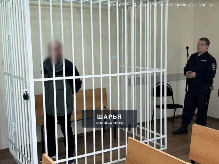 Костромской рецидивист отправлен в СИЗО за съёмку несовершеннолетней девочки — Шарья — фото 2