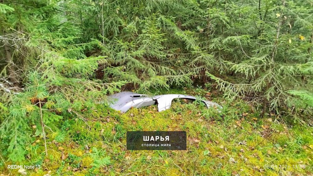 Очередная нычка от двуногих поросят была найдена в лесу — Шарья — фото 2