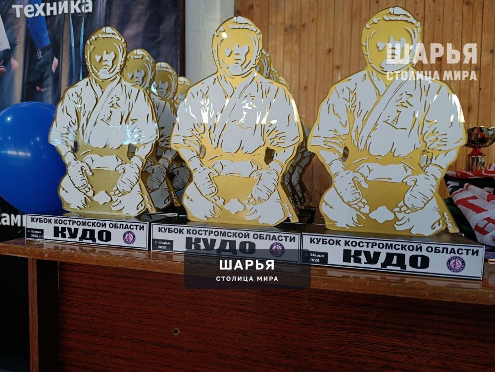 Шарья на один день стала центром КУДО