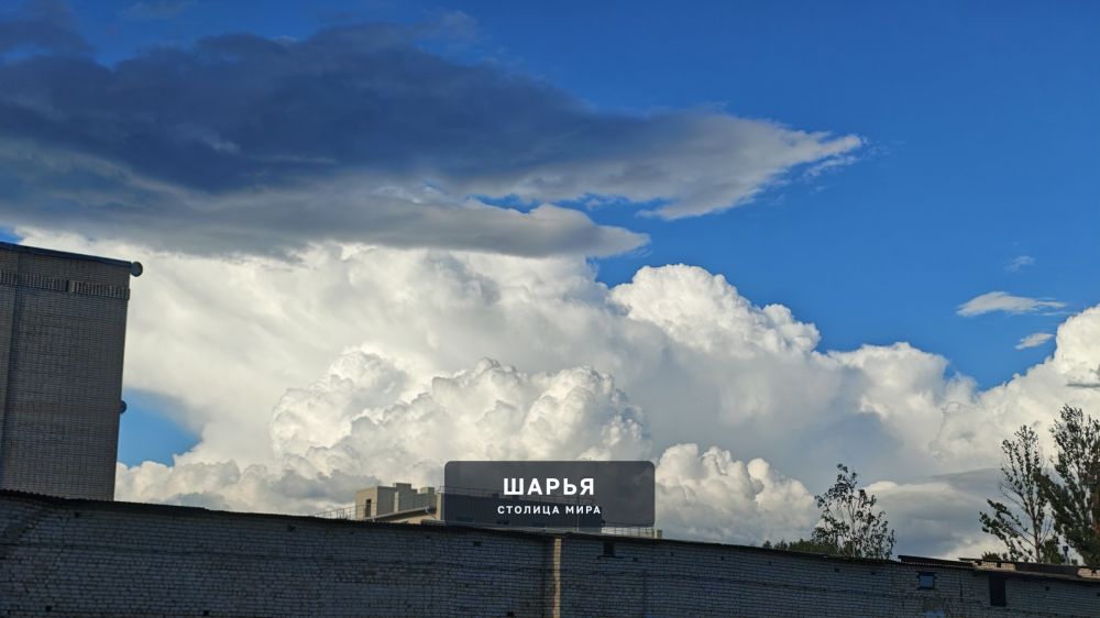 Новость из Шарьи — Шарья — фото 3