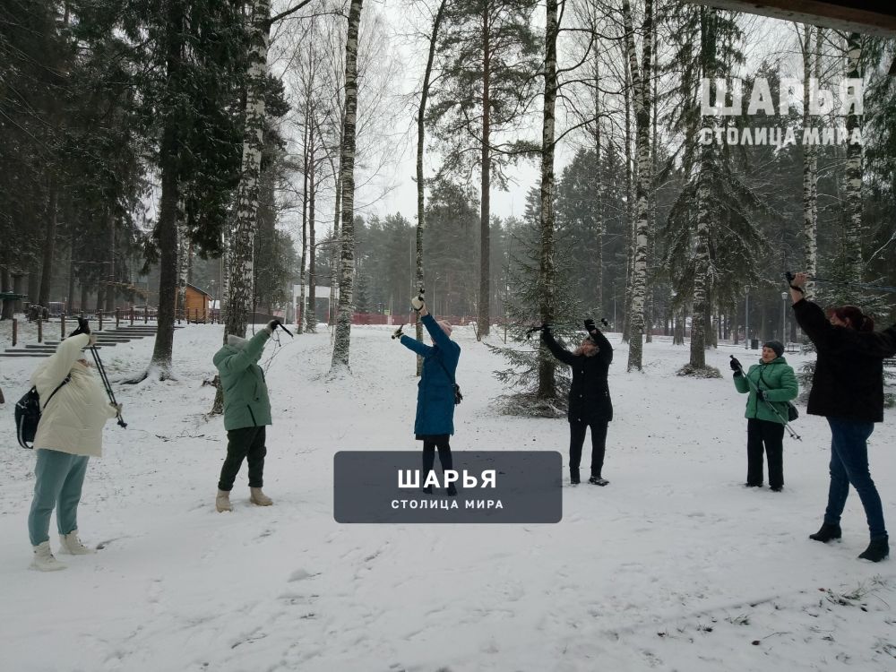 Шарьинцы даже в декабре продолжают заниматься скандинавской ходьбой — Шарья — фото 3