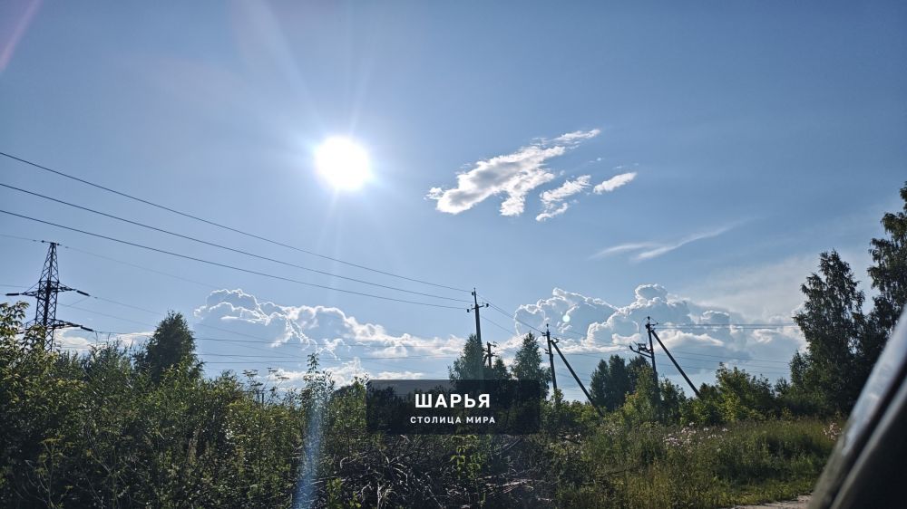 Новость из Шарьи — Шарья — фото 1