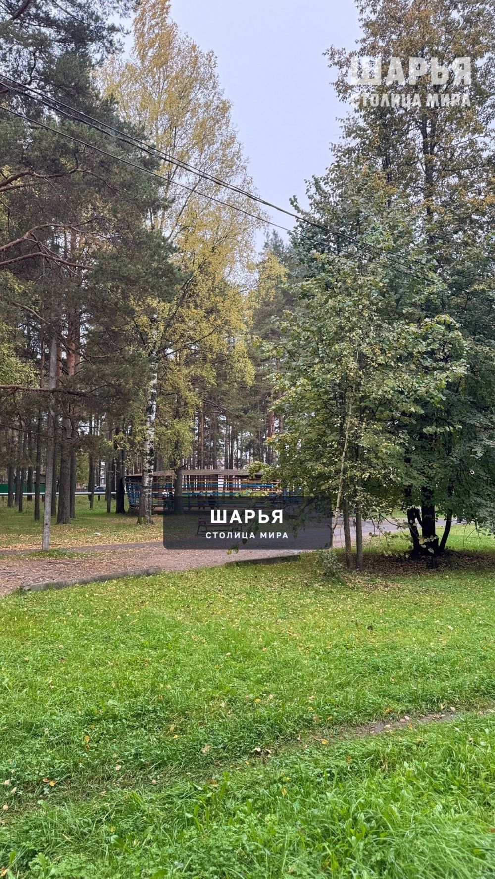 П. Ветлужский — Шарья — фото 3