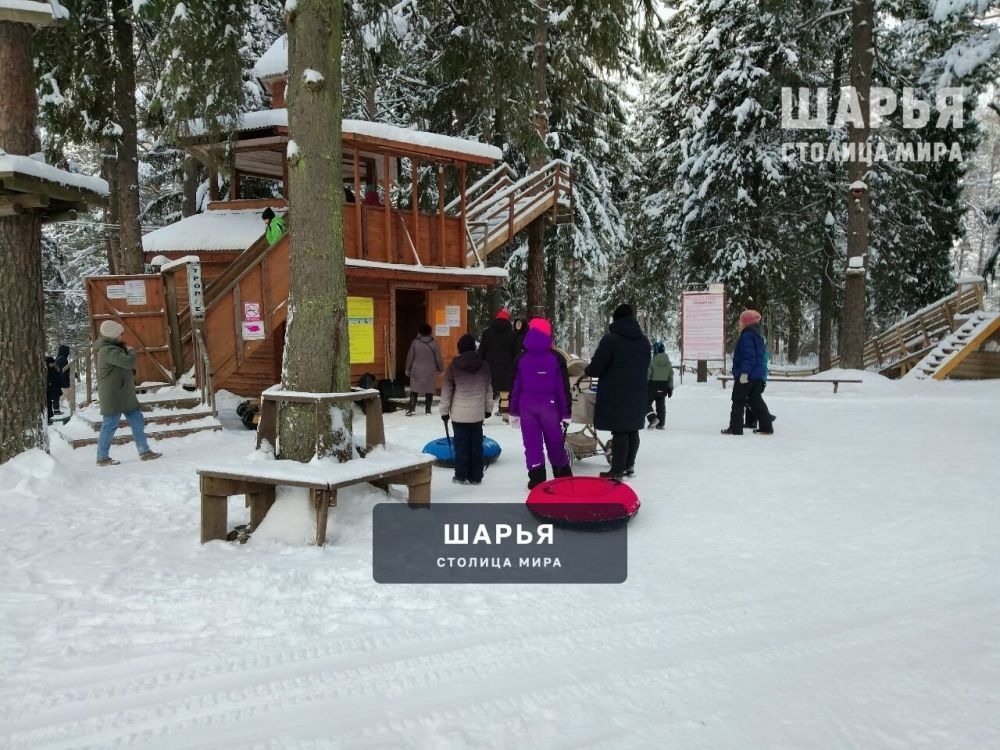 Зимняя сказка в Городском парке Шарьи завораживает — Шарья — фото 5