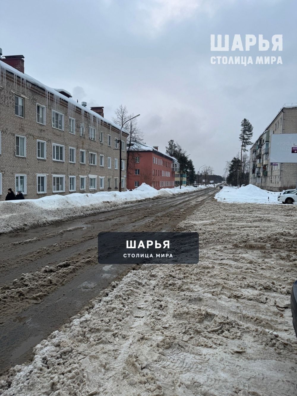 Весна пришла 1 марта — Шарья — фото 3