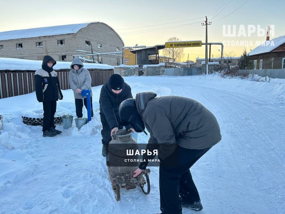 Гимназисты - участники Движения Первых - помогли бабушке участника СВО — Шарья — фото 2