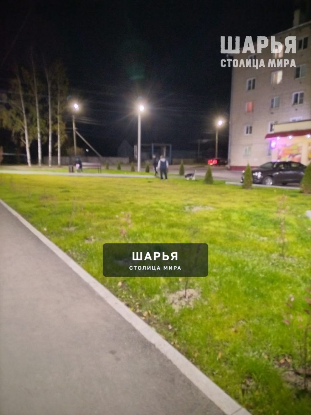 Не для собак, а для жителей и их детей — Шарья