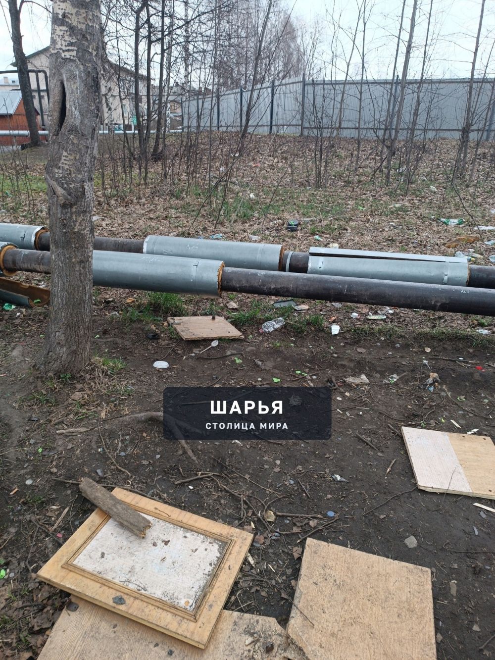 Хотелось бы обратить внимание на ,,экологическую проблему,,нашего микрорайона — Шарья — фото 2