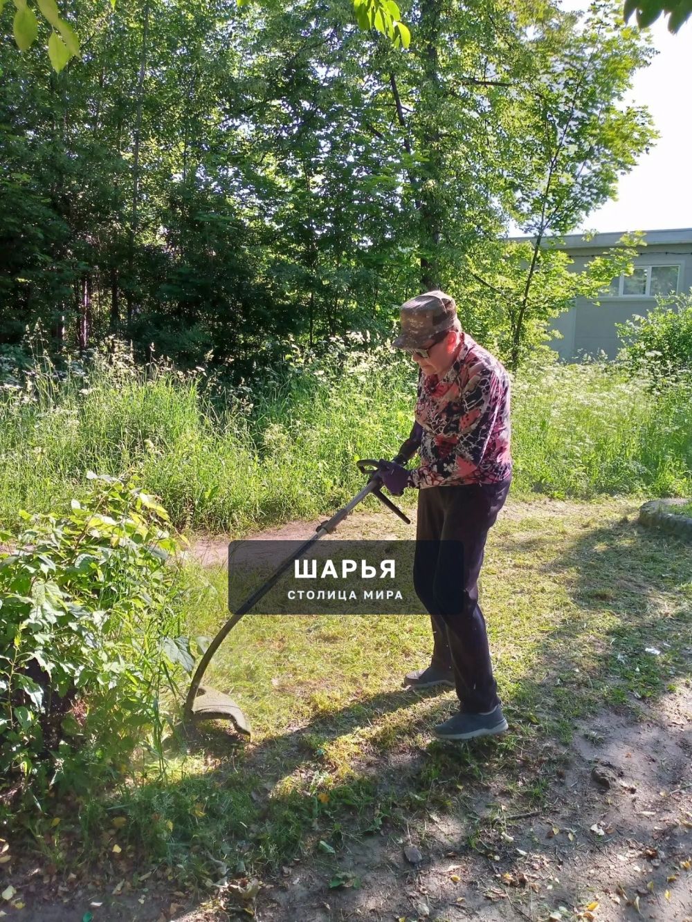 Шарьинские подростки не ценят красоту и чистоту — Шарья