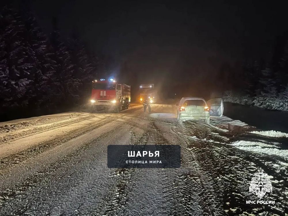 Счастливое спасение за 3 часа до Нового года — Шарья — фото 4
