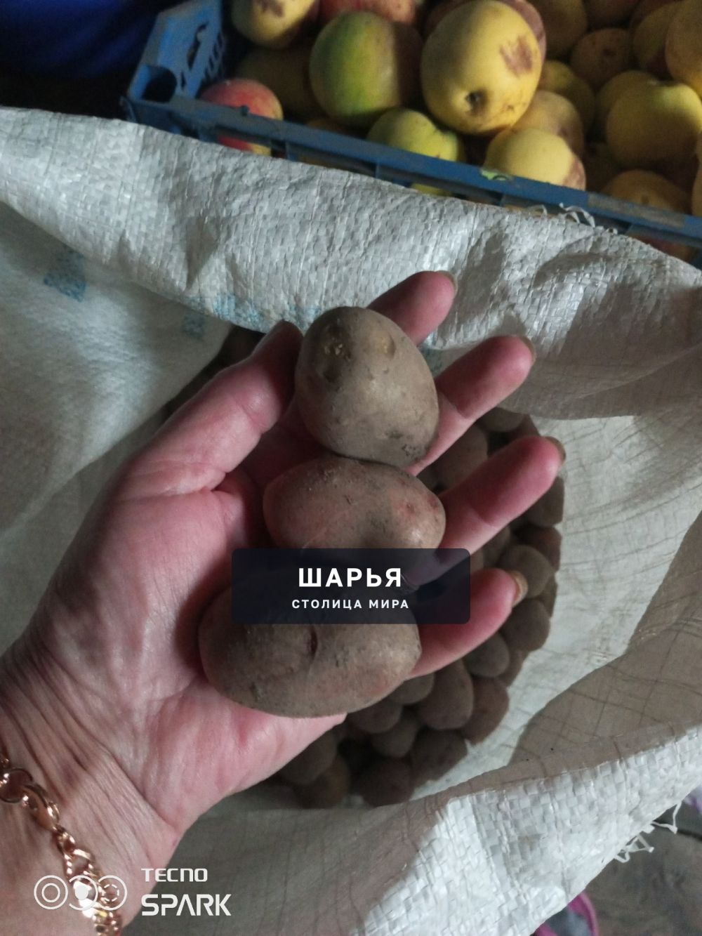 Отдам 1 ведро мелкой моркови и 5 ведер мелкой картошки, возможна доставка — Шарья