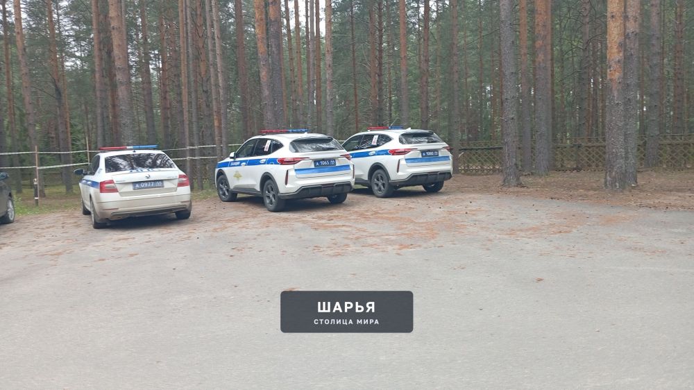Что за облава была сегодня на турбазе Ветлуга, кто в курсе? — Шарья