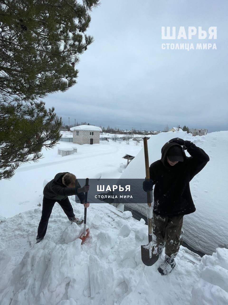 Студенты Шарьинского медицинского колледжа помогают семьям участников СВО — Шарья — фото 7