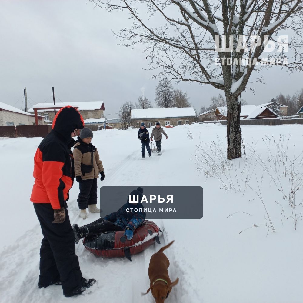 Юные жители Шарьинского района накормили лесных животных — Шарья — фото 2
