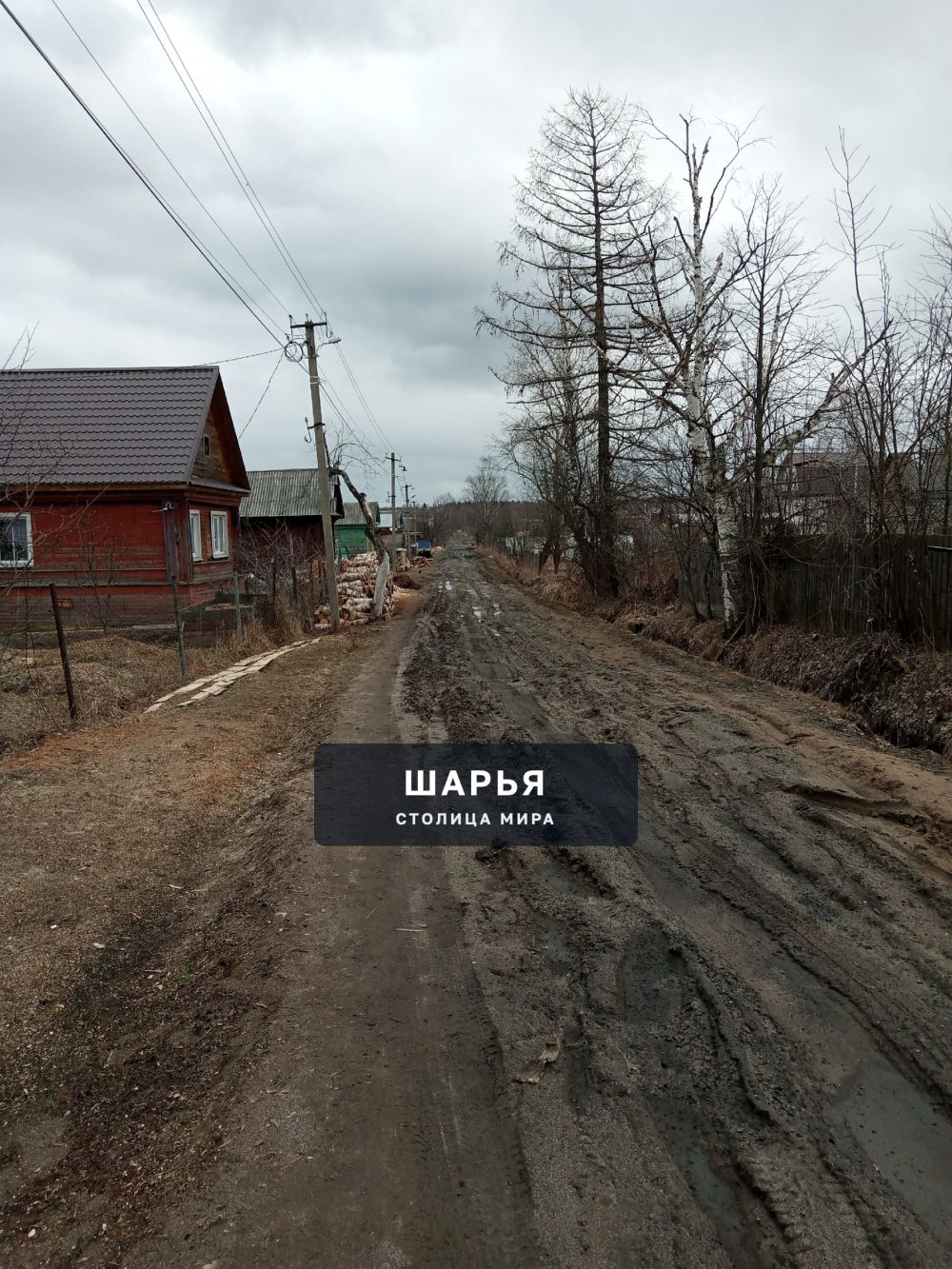 Улица. Речная не проехать вообще сделайте наконец дорогу!!! — Шарья — фото 4