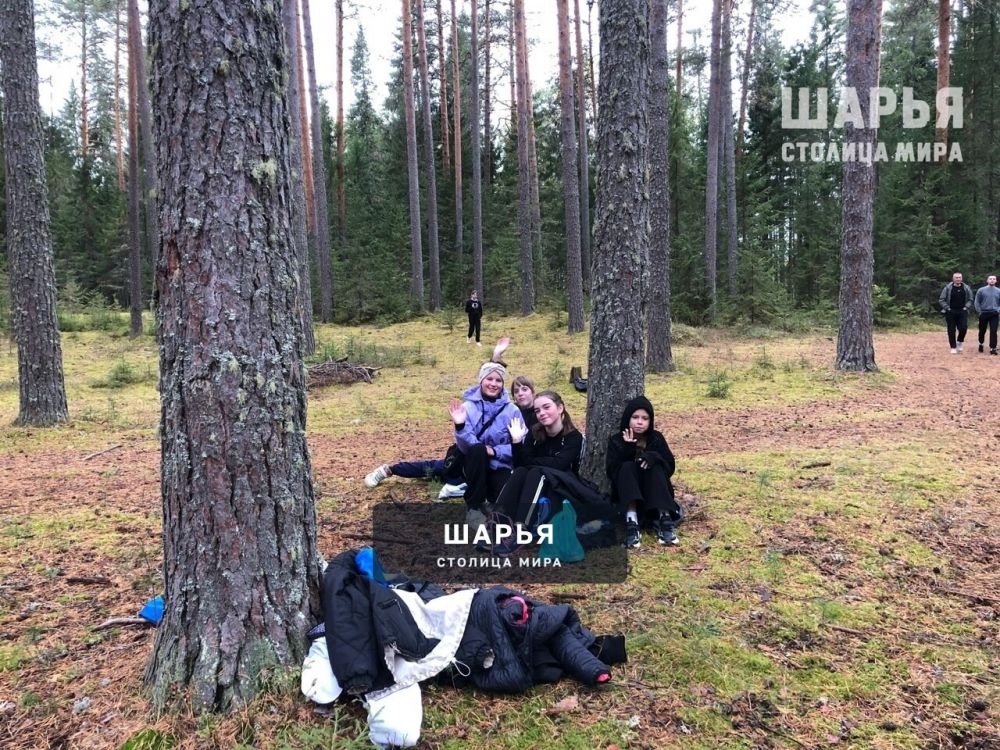 В Шарьинском районе школьники поучаствовали в легкоатлетическом кроссе — Шарья — фото 5