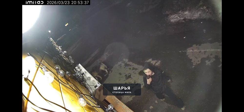 Призываем родителей двух малолетних вандалов в срочном порядке провести воспитательную беседу — Шарья — фото 4