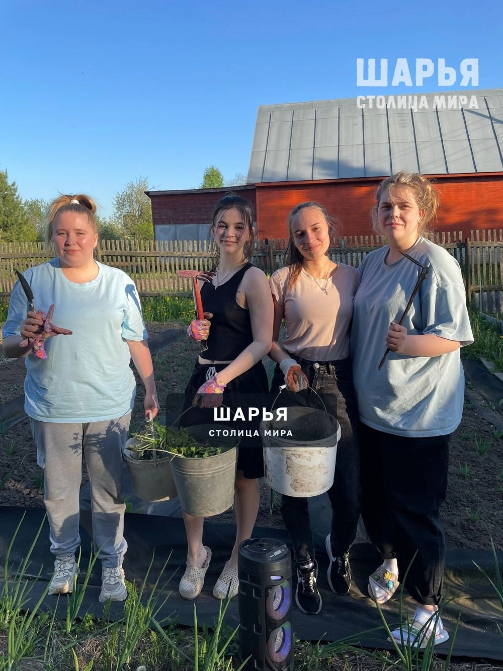Молодежь Шарьи безвозмездно оказывают поддержку землякам — Шарья — фото 8