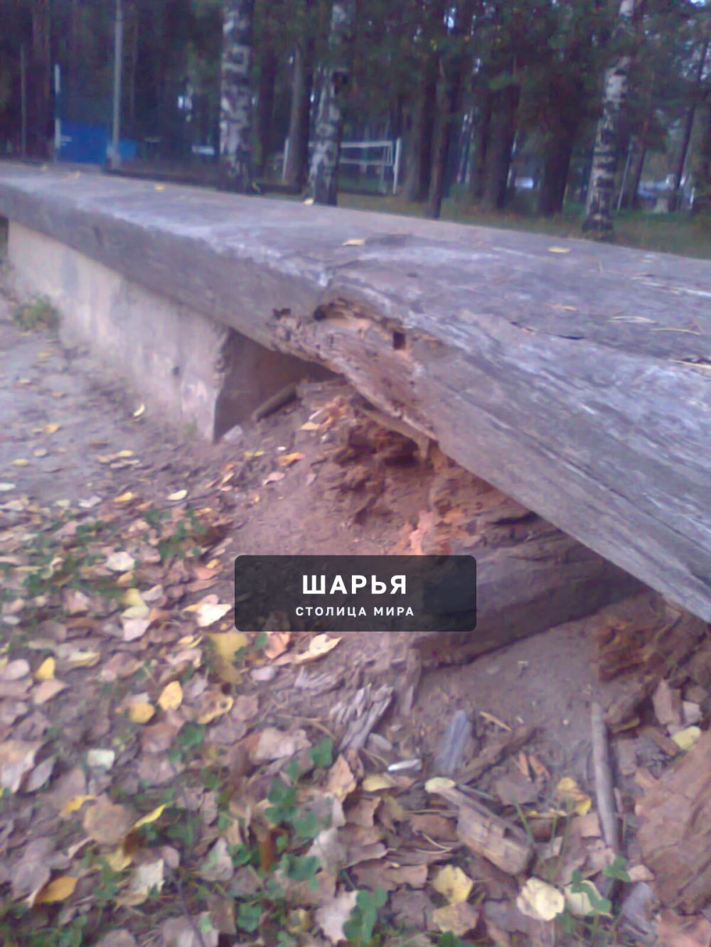 Публикация «Информационный стенд на перекрестке и старая лавочка в парке» — Шарья — фото 3