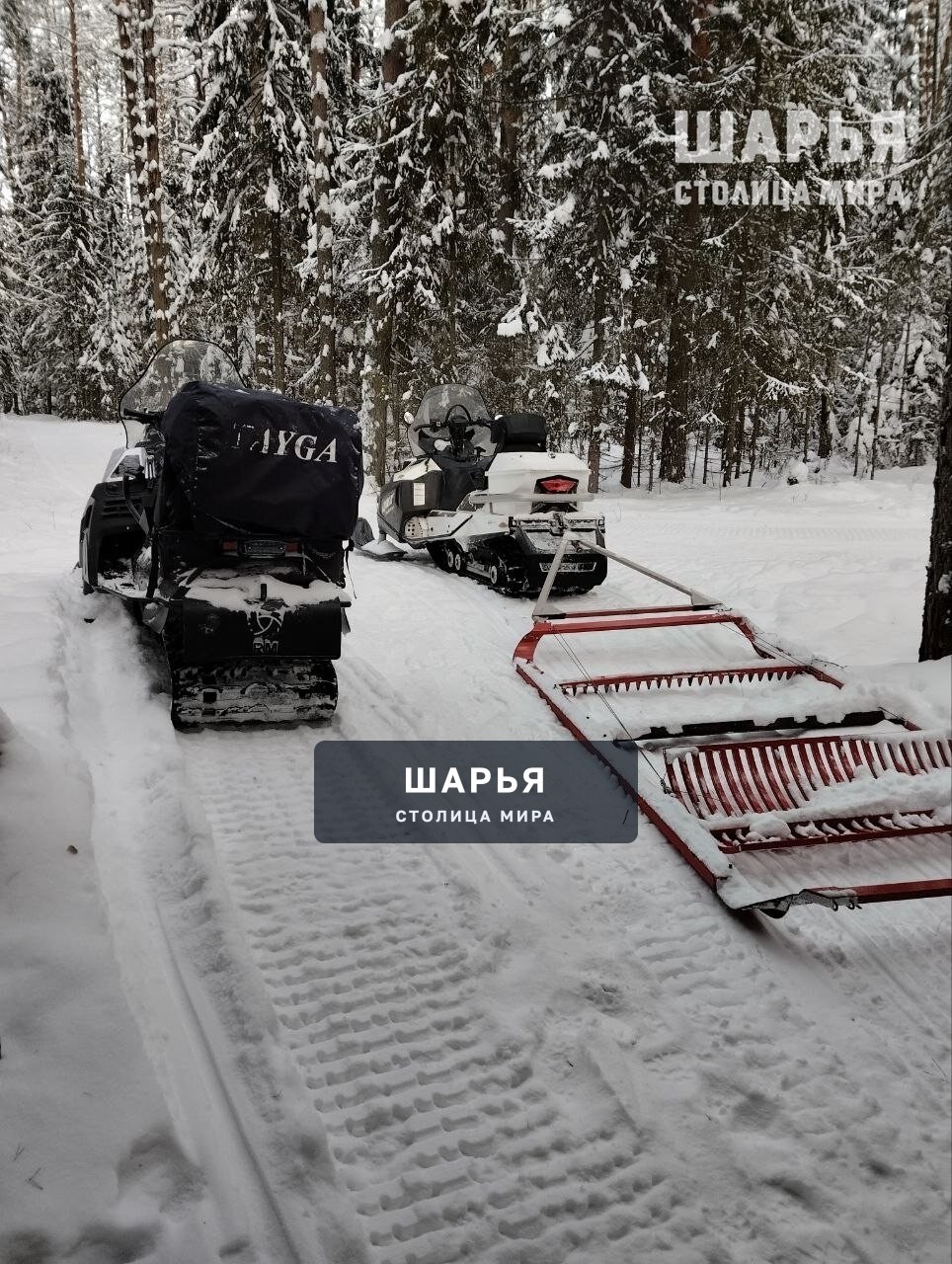 Спортивная школа олимпийского резерва Шарьи выражает благодарность Яковенко Владиславу, Попову… — Шарья — фото 6