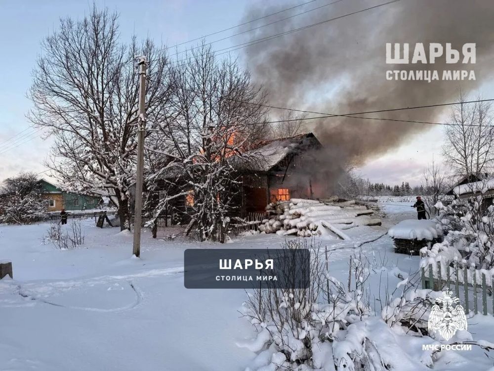 Свыше 30 пожаров произошло в регионе за праздничные выходные — Шарья