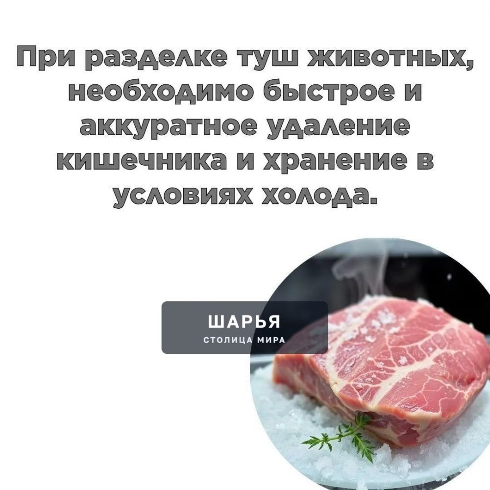Продолжается сезон активного консервирования и заготовок на зиму — Шарья — фото 7