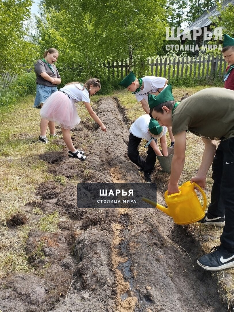 Юннаты Шарьинского района создали лесной питомник — Шарья — фото 2