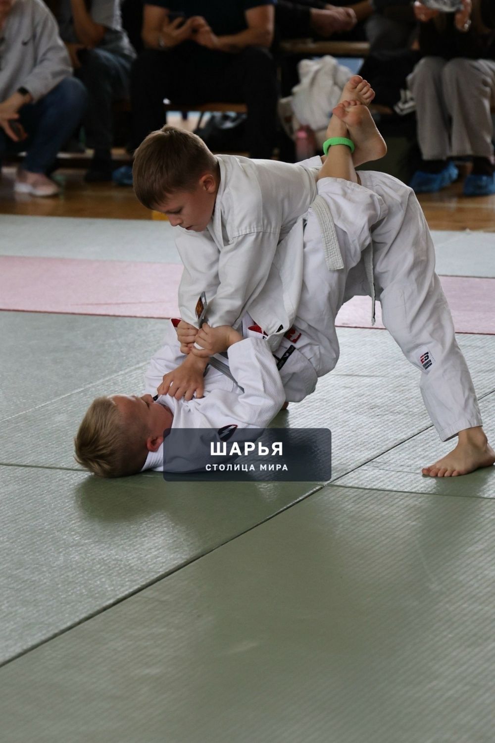 Начало спортивного сезона с первого командного места — Шарья — фото 6