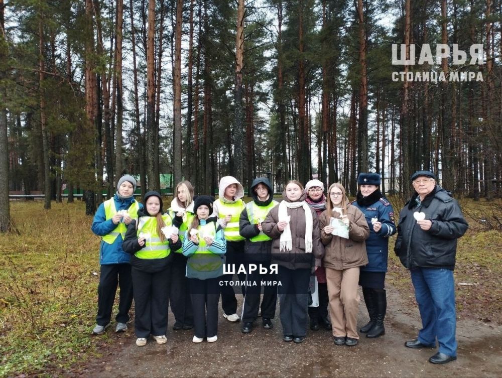 В рамках акции «Засветись» шарьинцам напомнили о необходимости использования СВЭ — Шарья — фото 8