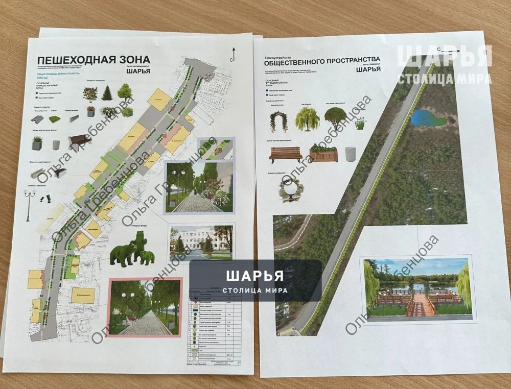 В этом году шарьинцам придется выбирать между утками и центром города — Шарья — фото 4