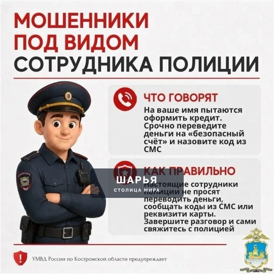 УМВД России по Костромской области предупреждает: мошенники могут представляться кем угодно — Шарья