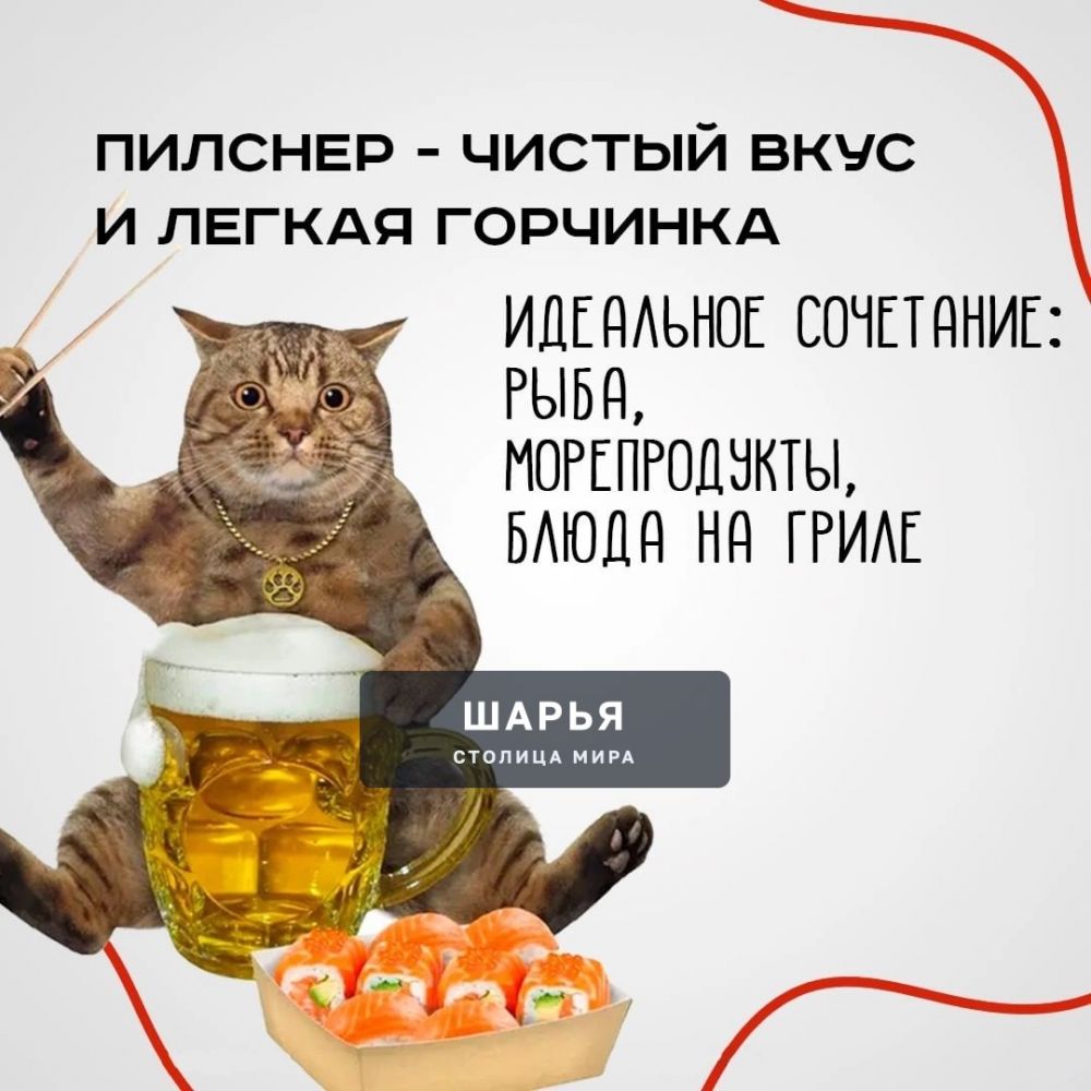 Что лучше есть, когда пьёшь пиво — алкомаркет КБ составил подборку закусок, идеальных под… — Шарья — фото 2
