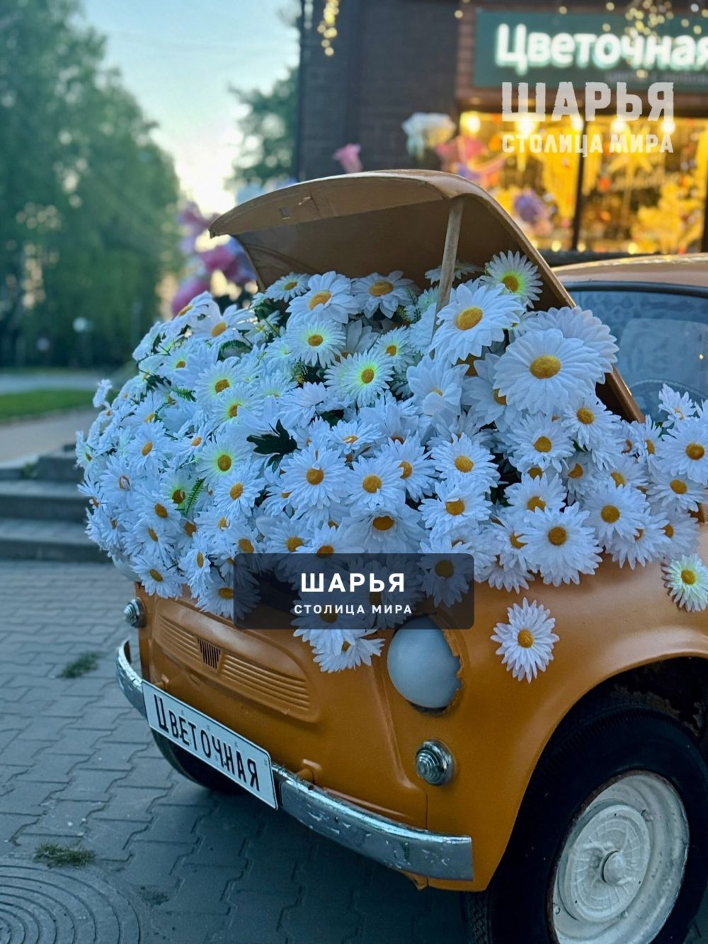 Шарьинская Лавка Цветочная вновь привлекает внимание — Шарья — фото 6
