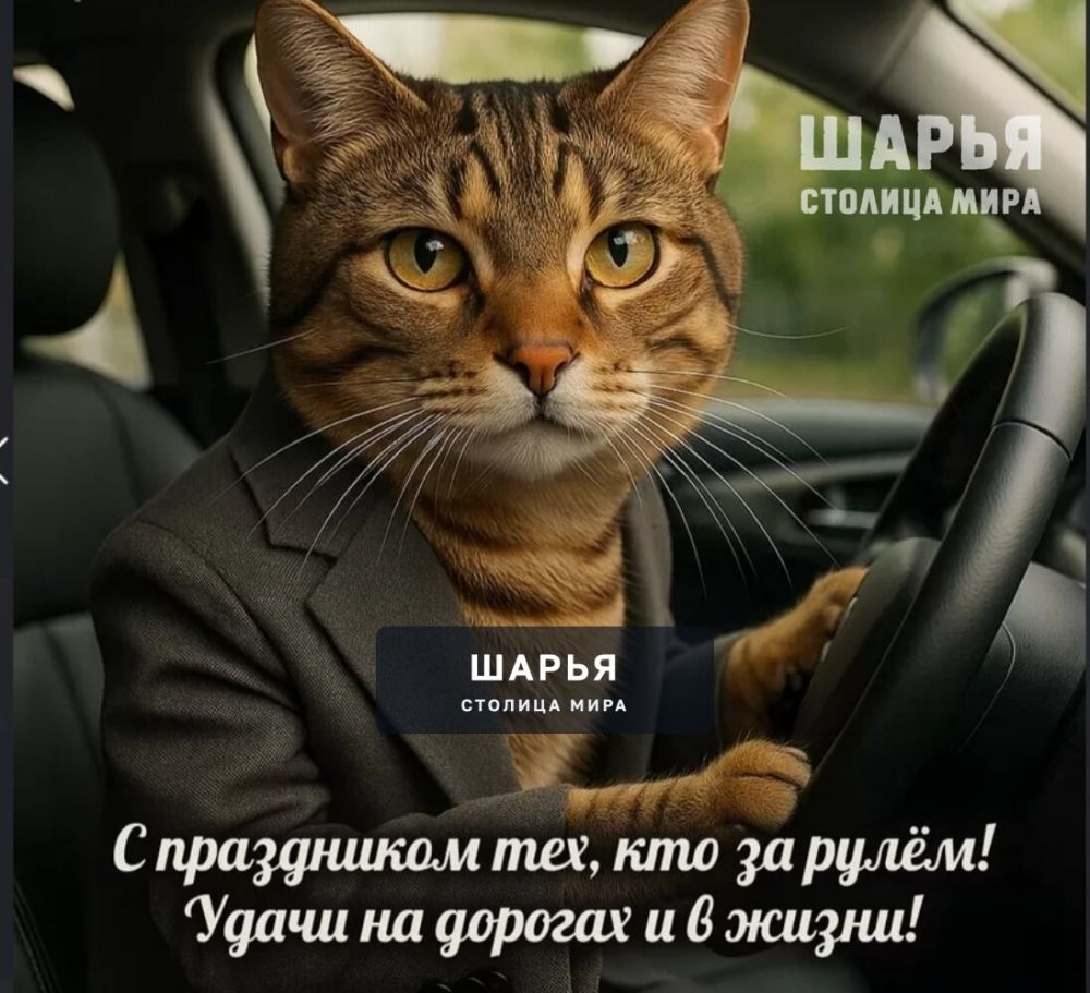 С Днем водителя, друзья! — Шарья