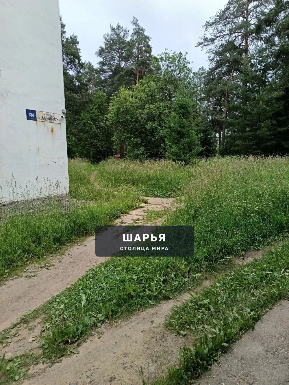 Хочу обратить внимание на прилегающую территорию поликлиники в нашем городе — Шарья