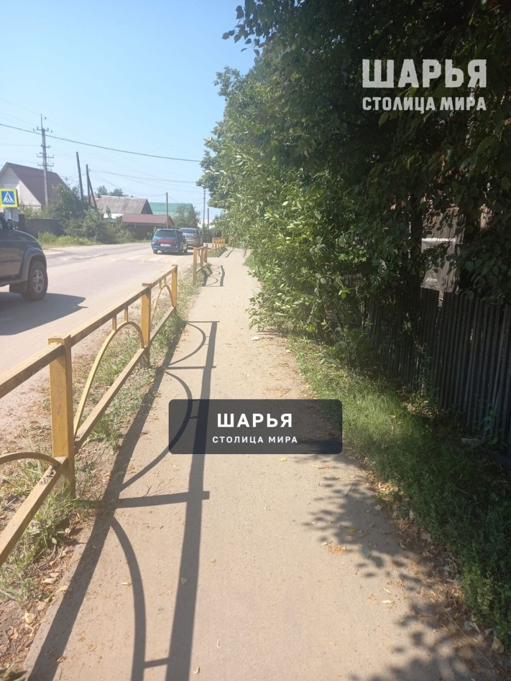 Там, где необходимо, почему-то не срубают — Шарья — фото 3