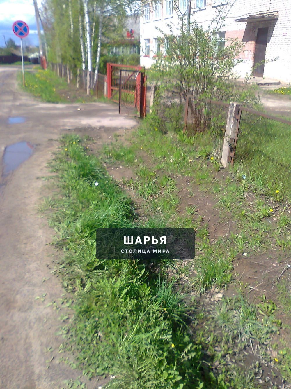 Публикация «Выкопанный ров у Шарьинского медицинского колледжа» — Шарья