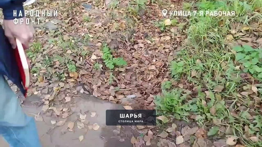 Народный фронт начал проверку подготовки дорог в регионе к зиме — Шарья