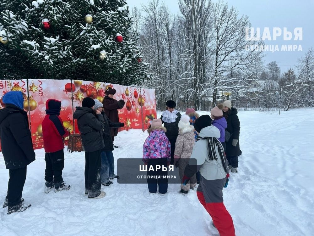 Новогодник елки не заканчиваются — Шарья — фото 6