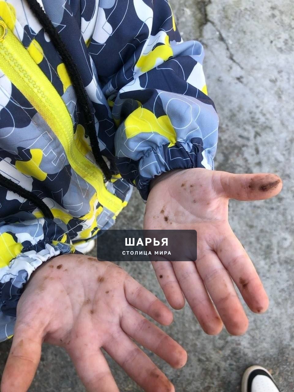 Беда в Туапсе. В городе экологическая катастрофа после пожара на морском терминале из-за атаки… — Шарья — фото 2