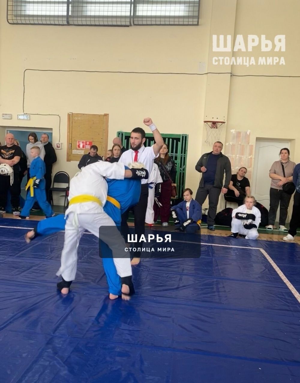Шарьинские спартанцы вновь в числе сильнейших спортсменов региона — Шарья — фото 3