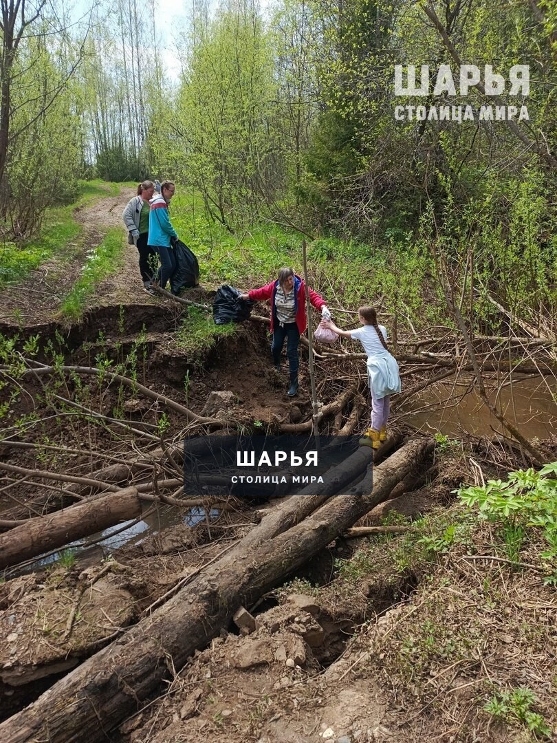 Акватория реки Ветлуги в Шарьинском районе очищена от брошенных сетей, а берег - от мусора — Шарья — фото 4