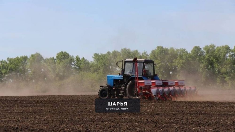 Аграрии региона перевыполнили план по яровому севу — Шарья